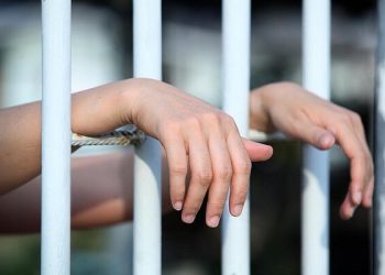 24-летнюю хакершу посадили на 66 месяцев за кражу $3,3 млн