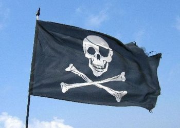 Адвокат, посаженный на 14 лет за охоту на интернет-пиратов, продолжил свою борьбу из-за решетки