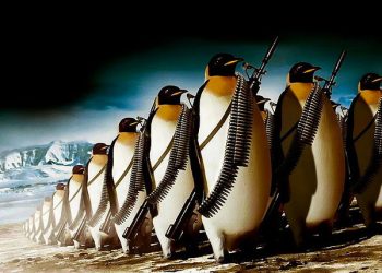 Российский «военный Linux» допустили до использования в госорганах