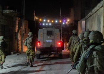 Стало известно о задержании террористов на территории Израиля