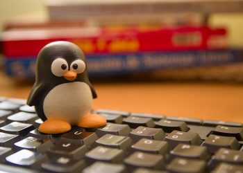 Власти объяснили, как безопасно пользоваться несертифицированным Linux