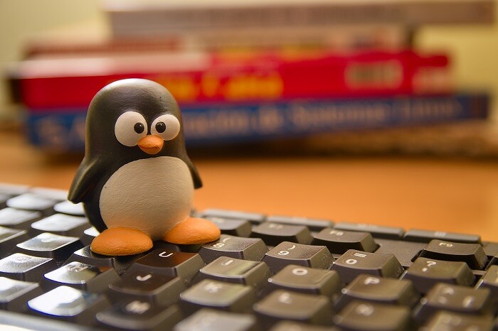 Власти объяснили, как безопасно пользоваться несертифицированным Linux