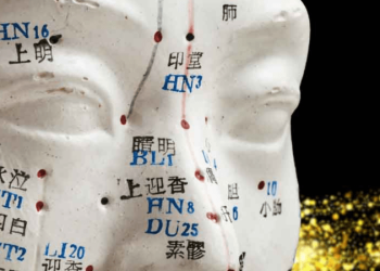 До сегодняшнего дня западная медицина не признавала «энергетических каналов»