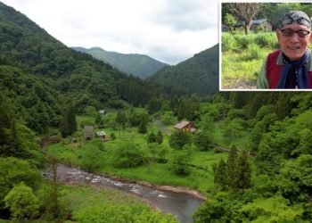 24 часа с единственным жителем скрытой в лесу деревни