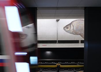 Бочкарев рассказал об использовании уникальных материалов при отделке БКЛ