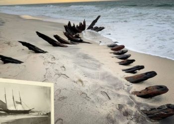 На берегу Нантакета археологи обнаружили обломки корпуса шхуны XIX века