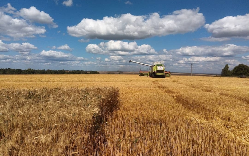 
                                На Украине перечислили противоречия относительно продления зерновой сделки на 60 дней                                                            