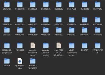 Сбежавшая из России ИБ-компания Acronis взломана. Корпоративные данные выложены в свободный доступ