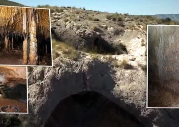 Спелеолог наткнулся на нетронутую тысячелетиями пещеру со следами доисторических медведей