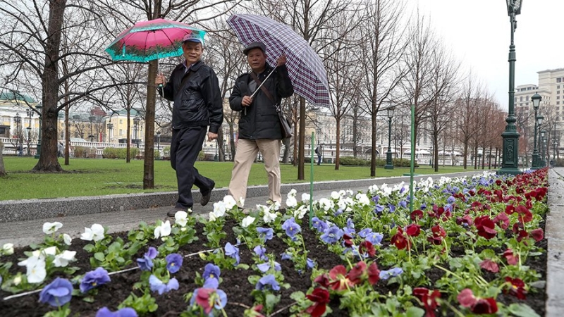 Утверждена программа комплексного обустройства центра Москвы на 2023 год