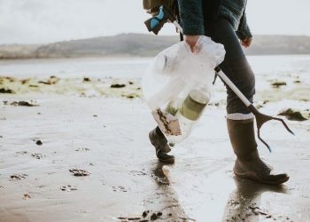 Дроны и нейросеть найдут мусор на пляжах Кубани