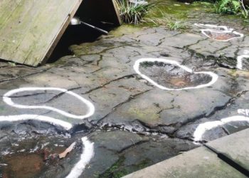 Любознательный посетитель обнаружил следы динозавра в китайском ресторане