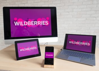 После блокировки выплат продавцам Wildberries ждет масштабная «прокурорская проверка»
