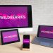 После блокировки выплат продавцам Wildberries ждет масштабная «прокурорская проверка»