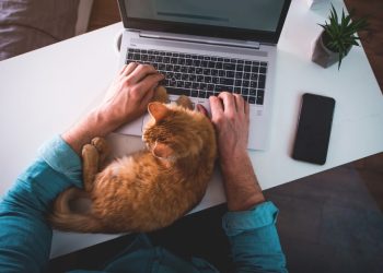 Удаленщикам грозят «смертью» карьеры, если те не вернутся в офисы. Им придется забыть о новых должностях и высоких зарплатах