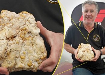 Житель Австралии нашёл огромный самородок золота и пополнил свой бюджет на А$250 тыс