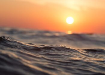 Из-за Эль-Ниньо 2024 год может стать самым жарким в истории наблюдений