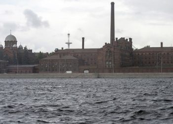 На территории «Крестов» могут создать общественно-деловой кластер