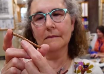 Учёные воспроизвели звук флейты возрастом 12 тысяч лет (видео)