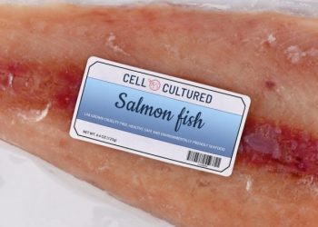 Из лаборатории на тарелку: будущее клеточных морепродуктов