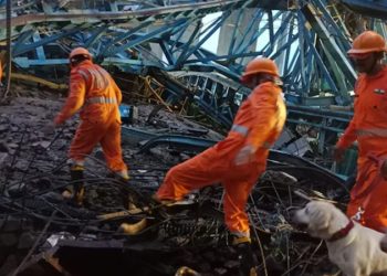 Минимум 16 человек погибли при падении строительного крана в Индии