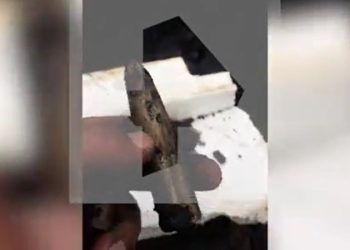 На стройке в Москве обнаружили «зубы динозавра»