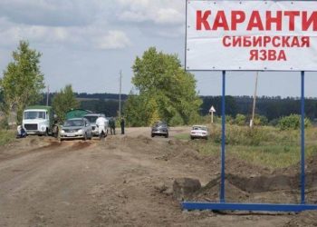 В Воронежской области из-за сибирской язвы госпитализированы два человека