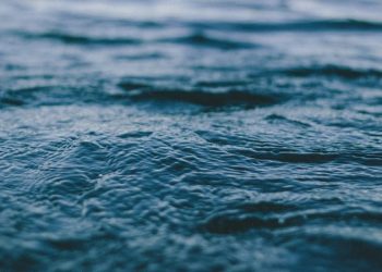 В мировом океане нашли пугающих существ, переживших динозавров