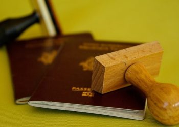 ИИ займётся проверкой документов в России