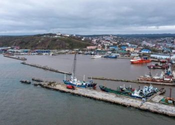 Комплекс по переработке рыбы построят в Корсакове за 6,5 млрд рублей