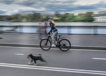 Велосипедные дорожки обустроят в Белгороде за 100 млн рублей