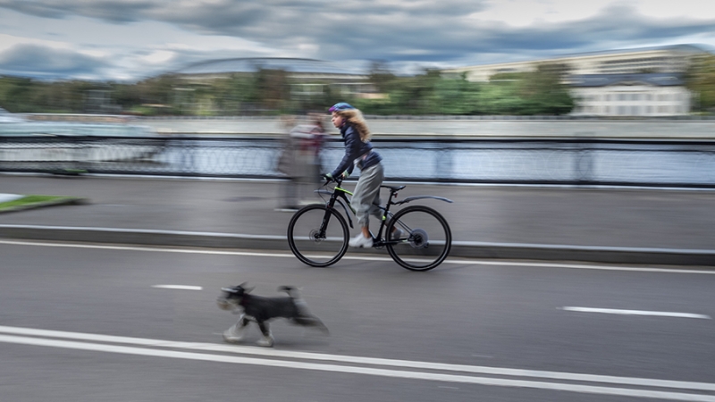 Велосипедные дорожки обустроят в Белгороде за 100 млн рублей