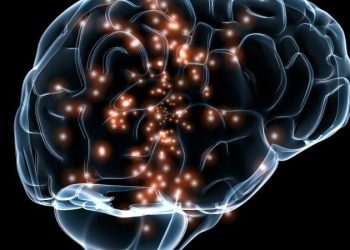 Более 1000 человек готовы вживить себе в мозг чип от Маска