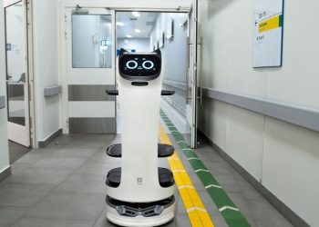 В московских больницах появились робокошки