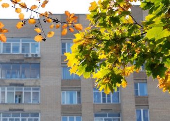 В Москве зафиксировали дефицит солнечного света