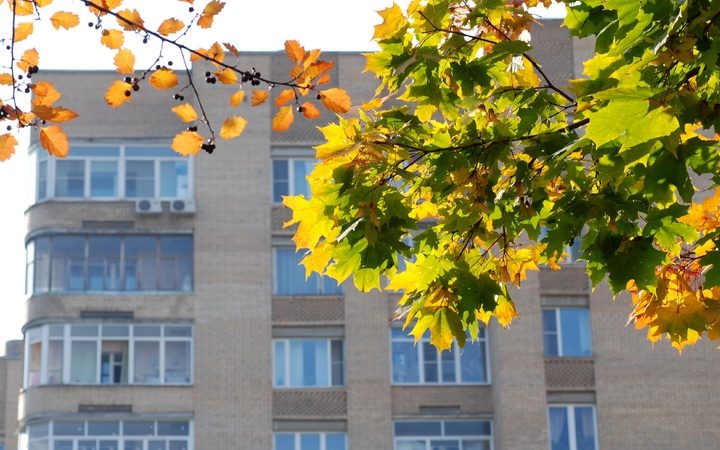 В Москве зафиксировали дефицит солнечного света