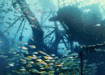 Колумбия заявила о намерении поднять сокровища с затонувшего в 1708 году корабля