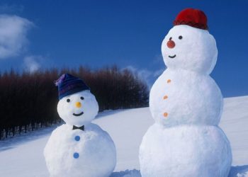 Россиянин получил больше года тюрьмы за кражу снеговика