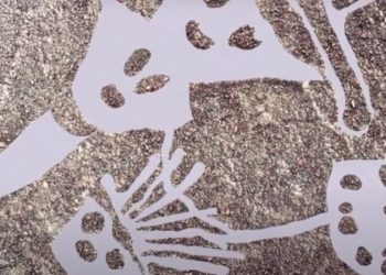 В Перу обнаружили 29 гигантских геоглифов в виде кошек