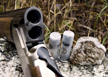 В Подмосковье полиция предотвратила нападение на школу