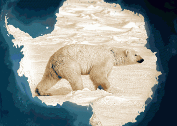 ООН заявляет, что таяние арктических льдов показывает изменение климата, но они не тают