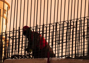 Собянин одобрил проект строительства логистического комплекса в Зеленограде