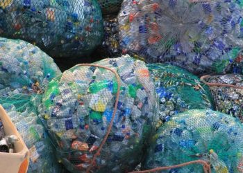 Создан биоразлагаемый пластик из водорослей