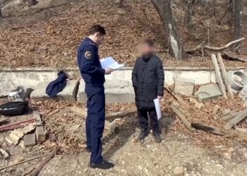 Юристы усомнились в основаниях для дел о пересмотре земельных сделок во Владивостоке