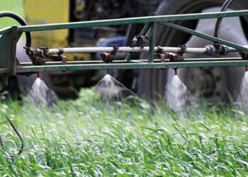 НИИ вегетации растений откроют в подмосковном Серпухове