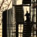 Застройщиков обяжут сносить незавершенные в срок долгострои