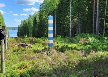 Финляндия вырубит деревья для установки забора на границе с РФ