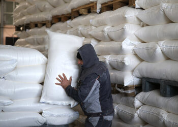 Россия к концу года достроит в Сирии мельничный комплекс