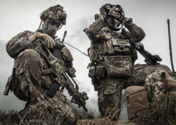 Русские немцы из Бундесвера не готовы поднять оружие против России