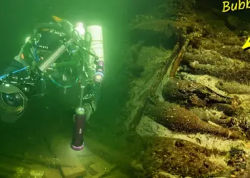 На затонувшем корабле обнаружены 175-летние запечатанные бутылки шампанского и минеральная вода